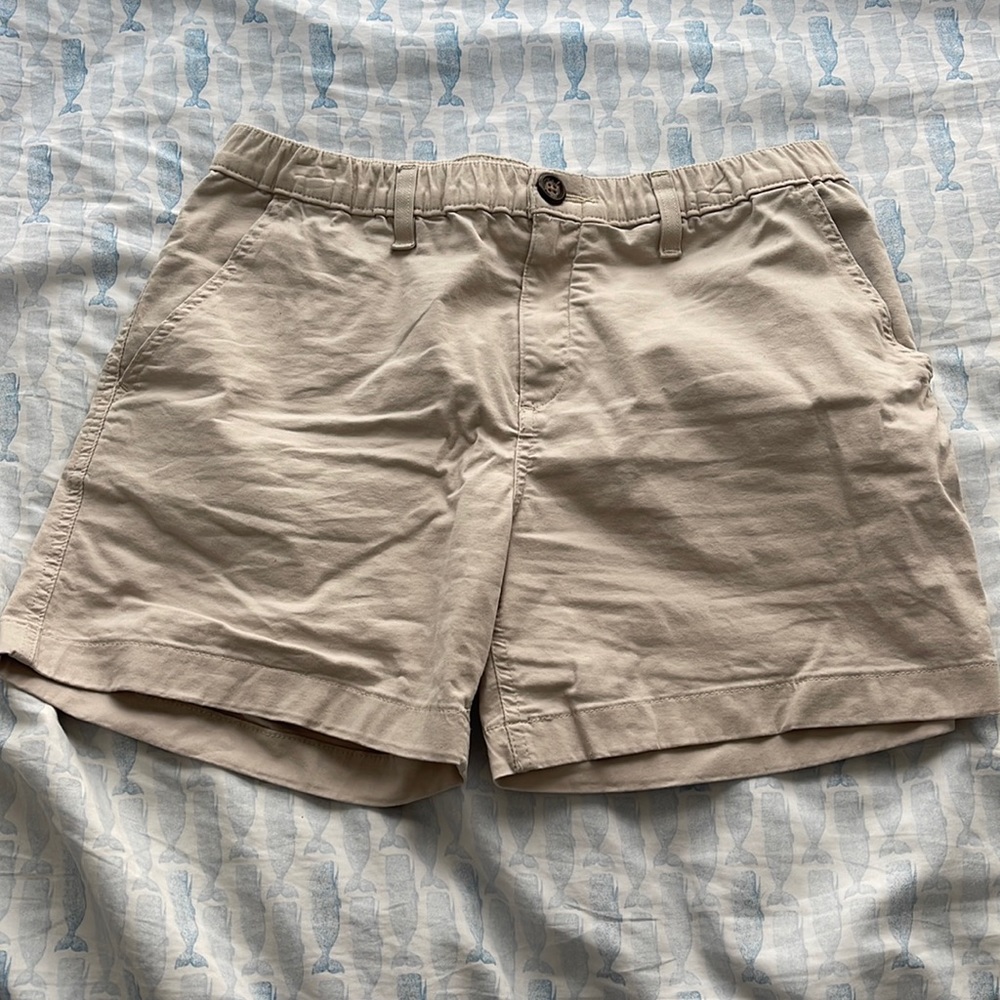 Mens Chubbies shorts